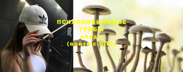 каннабис Алексеевка