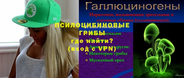 круглые Алзамай
