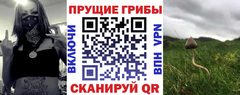 ссылка на мегу маркетплейс  купить наркотик  Мичуринск  Галлюциногенные грибы Psilocybine cubensis 